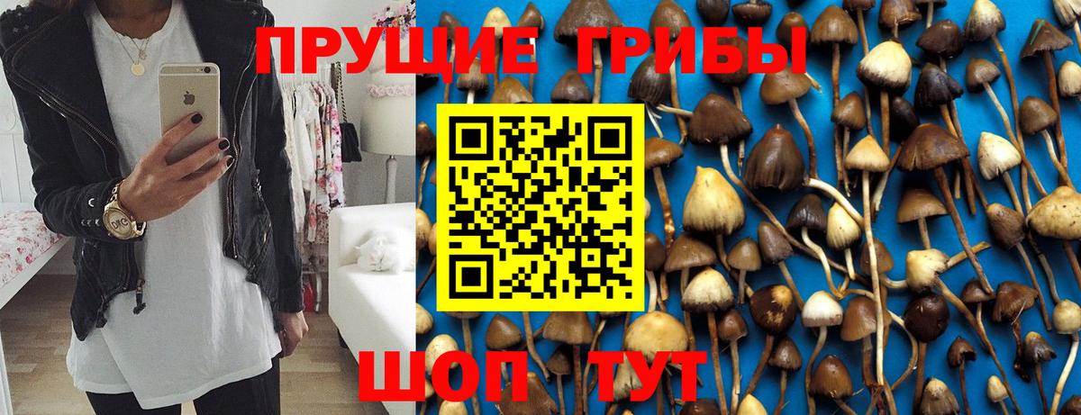 Псилоцибиновые грибы мухоморы  Вход с VPN  Вичуга 